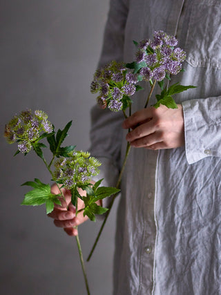 NORDIC.CHRISTMAS - Throatwort Stem