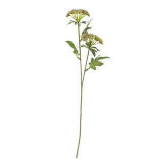 NORDIC.CHRISTMAS - Throatwort Stem